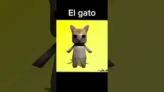 RIP El gato #rip #elgato