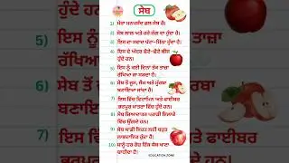 10 Lines on Apple 🍎 in Punjabi | EDUCATION ZONE | @EducationZone31
