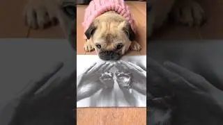 How to create the most beautiful lasting memory with your dog 🥹🫶🏼 #pug #dog #adorable