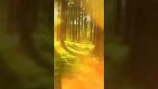 хочу быть с тобой лес
