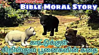 காட்டுக்குள் கிறிஸ்துவ பூனைகளின் கதை Bible Moral Story/ Christian Bible Tales new/ SuperStory Tamil