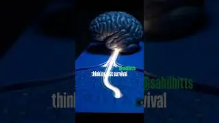how neural system works ? plyomatric exercises principle and reflexes#boxing #neuroscience