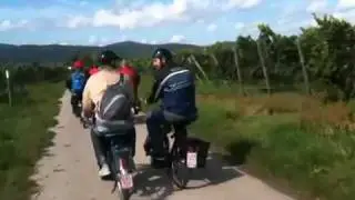 Rhein-Neckar-Ausfahrt 2010 Velosolex