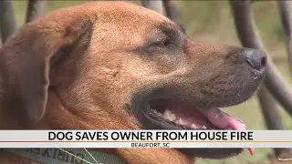 Dog saves owner from SC house fire