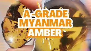 A-Grade Myanmar Amber!!