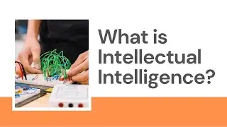 What is Intellectual Intelligence?