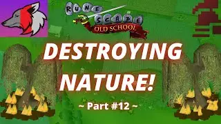 (OSRS) F2P Hardcore Ironman Efficiency Guide: Part #12