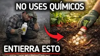 El 'Gas' Natural que Desinfecta tu Suelo: Mejor que los Químicos