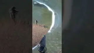 Pescando a mosca seca, marzo 2025.