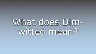 What does Dim-witted mean?