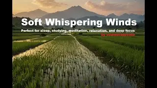 Soft Whispering Winds &mdash; Ambient ASMR for Deep Relaxation