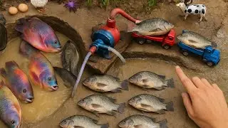 diesel engine water pump for fish in pond🐟| fishing exciting #mini_pump