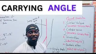 Carrying Angle Anatomy Simplified: Key Insights into Elbow and Forearm Mechanics.