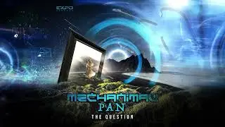 Mechanimal & Pan - The Question [Expo Records]