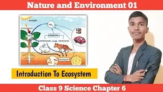 Introduction To Ecosystem | Nature and Environment 01 | Class 9 Science Chapter 6 in Nepali |