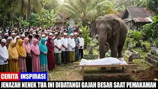 Jatim Merinding!! Gajah Besar Ini Datang ke Pemakaman Nenek Tua Di Desa — Alasannya Bikin Nangis