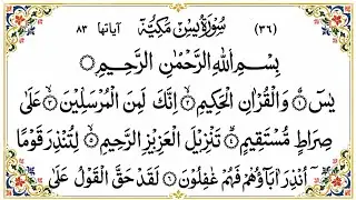 Surah Yasin (Yaseen) سورة يس | Surah Rahman Relaxing heart touching voice | surah yasin tilawat|198