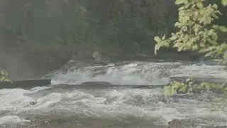 Stamp Falls Provincial Park in Port Alberni