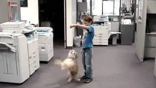 Copycare of San Diego Mascot 