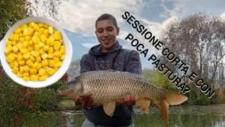 Sessione CARPFISHING CORTA e con POCA PASTURA?