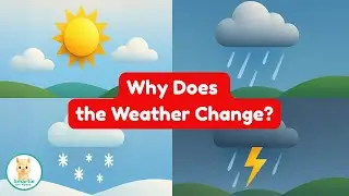 How and Why Does the Weather Change? | Educational Kids Episode | Learn About the Weather