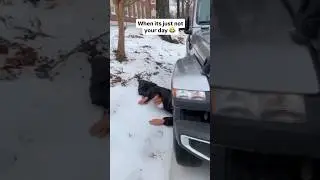 🤣🤣🤣 Big Fails 2026 🤣🤣🤣| try not to laugh | #tiktok #funny #fail #fails #shorts