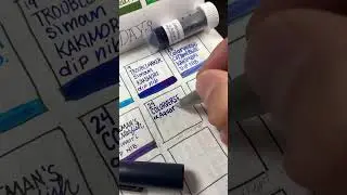 Day 24 of #30inks30days is Colorverse aquarii in a Lamy 2000, M nib