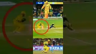 fastest stump ever #shorts #viralclick