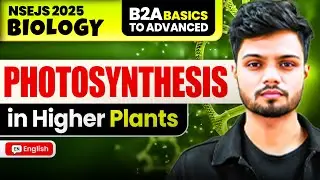 Fotosintesi nelle piante superiori | Nozioni di base per progredire | Biologia NSEJS | Basavaraj ...