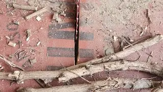 Tulsi Mala ( Brijwasi / Vrindavan ) is live