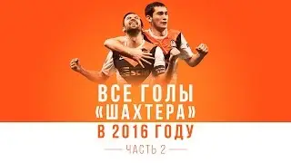 Все голы Шахтера в 2016 году. Часть 2: Срна, Степаненко, Эдуардо и другие