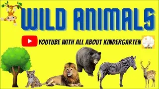 Name Of Wild Animals With Spellings With All About Kindergarten