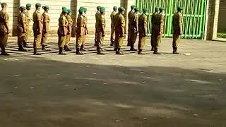 NYS Band Trainees course 01/2021 in drill lessons