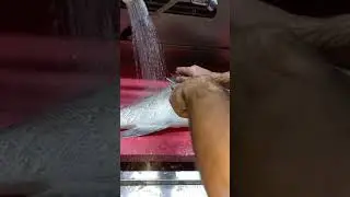 girida balığı temizleme Mercedes