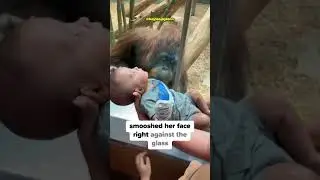The Cutest Zoo Interaction Ever! 🥹
