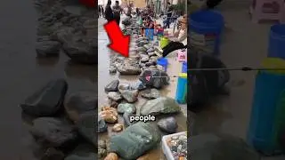 Почему люди в Китае собирают бесполезные камни?