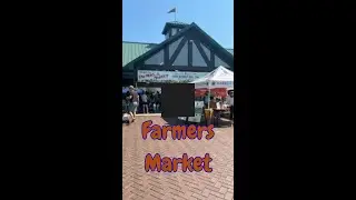 Fresh, Local, and Authentic: A Bustling Farmers Market in the US