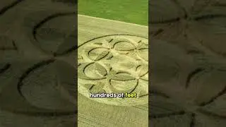Crop Circles  Earth's Mysterious Patterns