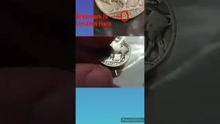 Do You Have This Nickel? 1920-S Buffalo Nickel