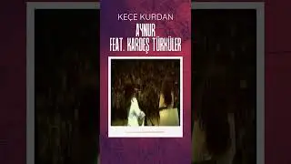 Aynur feat. Kardeş T&uuml;rk&uuml;ler - Ke&ccedil;e Kurdan #shorts