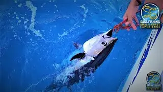 TUTORIAL DRIFTING AL TONNO - NODO PR KNOT DEMOSTRATION - NODO AMO HOOCK KNOT - BLUEFIN TUNA RELEASE