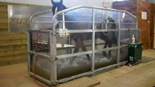 Horse with bilateral suspensory injury works sound