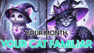 Your Feline Familiar! Choose Your Month and See Your Companion as Baby and Adult!