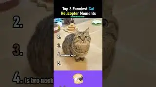 #trend