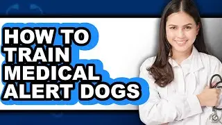 How to Train Medical Alert Dogs - Full Guide