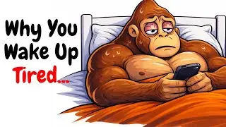 Your Night Routine Is Why You Wake Up Tired | Monkey Explains