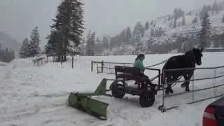 Foggy Mountain Snow Horse Plowing