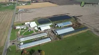 On-Farm Solar Feature: Resler Feeder Hogs (Emergent Solar Energy)