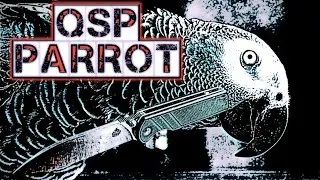The QSP Parrot is the top Budget Blade