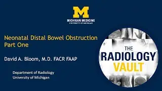 Imaging Neonatal Bowel Obstruction Part 1: Fluoroscopy and X-Ray Review